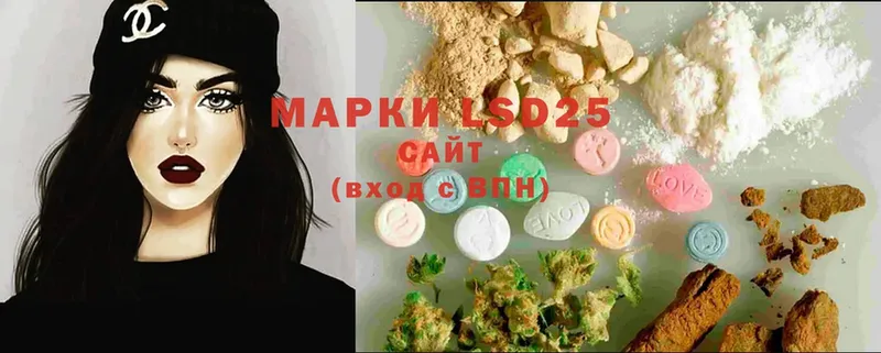 купить наркотики сайты  Новоузенск  Лсд 25 экстази ecstasy 